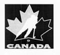 Maple Leaf and Hockey Player Design (Black Background)