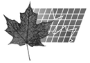 A maple leaf on graph paper