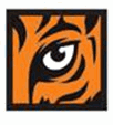 A logo of a tiger eye