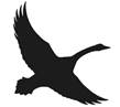 Flying goose design in solid black.