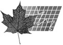 A maple leaf on graph paper