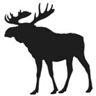 Moose Design (Solid)
