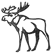 Outlined Moose Design
